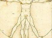 Fibonacci proporcion aurea