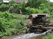 Viendo vida pasar desde Hsipaw