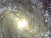 estrella grande