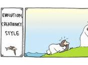 Comprendiendo evolución