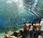 Underwater world: acuario Singapur