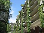 Proponen crear jardines terrazas. Tucumán.