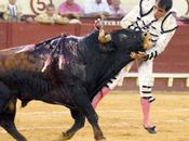 Torero Mexicano sufre cornada