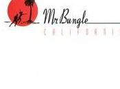 Bungle