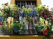 Bienvenida Primavera