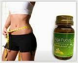 Combate problemas peso alga fucus