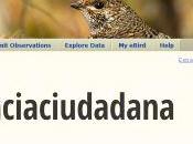 eBird: Herramientas globales para observadores aves