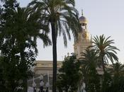 magia Cádiz..