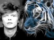 Trastorno Límite Personalidad: Viviendo montaña rusa emocional...