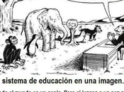 Criticar Igualar habilidades personas, degrada Educación