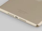 Revelan supuesto iPad Mini color dorado Touch