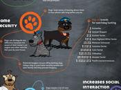 beneficios tener perro #Infografía #Mascotas #Salud #Curiosidades