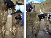 Localizan Bulgaria cuadriga tracia 2.500 años tumba real