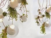 Escultóricas lámparas vidrio soplado luminosos jardines verticales