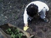 Cultivar Verduras Hierbas Jardineras Madera