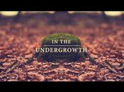 Undergrowth Oliver Latta