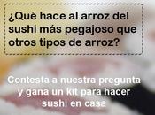 ¿Eres sabe sushi?