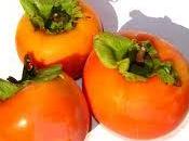 Palosanto kaki otoño, rico vitaminas minerales