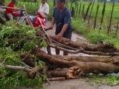Ventarrón afecta viviendas Boca Cachón.