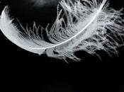 quinta entrega Medianoche historia Balthazar bolsillo