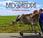 Jackass presenta: Grandpa