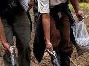 Primera dama aplaude gobiernos regionales trabajan desarrollo agro…