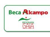 Becas Gaia-Alcampo España 2014