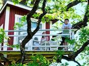 Casita Arbol Rustica