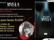 Concurso "Novela Suma Letras