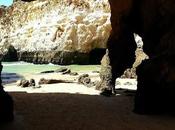 Poesía: gruta catedralícea