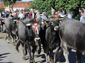 XXXV Olimpiada Tudanco Cabezón