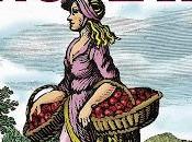 Tomata penjar roseta