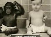Docucine: Tres14, bebés
