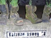 jardinería esperanza