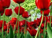 LOOK263-21.10.20137:30¡¡NOTA COLOR!!¡¡Hola amiga!!¿Qué...