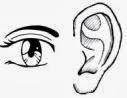 Cuidado Ojos Oídos Sabila