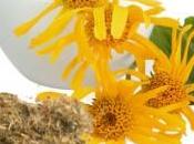 Hierbas para combatir dolor artritis