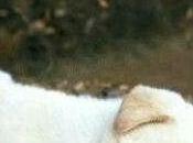 Sunday, sweet sunday...