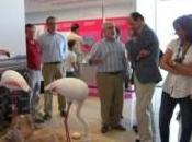 Abre público Centro Visitantes Laguna Fuente Piedra