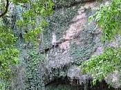 Paraisos cercanos
