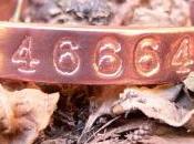 ¿Qué enseña número 46664?