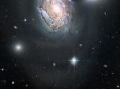 Impresionante imagen galaxia cúmulo Coma