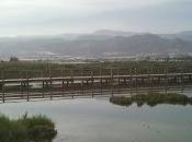 Allí, salinas