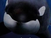 Blackfish (2012)