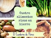 Cuatro alimentos ricos hierro debes conocer