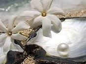 Perlas