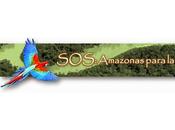 Amazonas venezolano amenazado minería ilegal “legal”