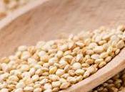 Quinoa, semilla longevidad