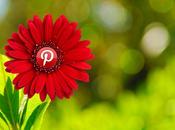 acciones para mejorar marketing Pinterest
