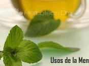 Usos Menta